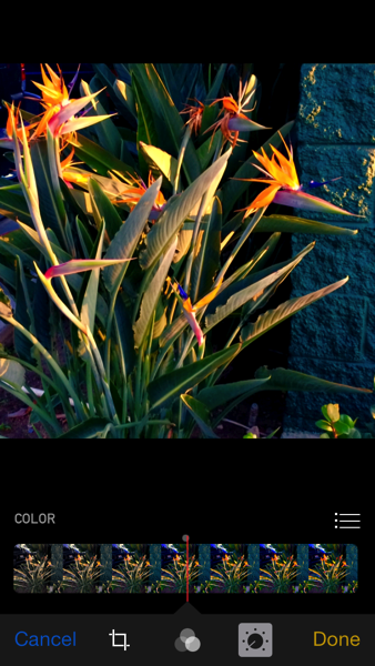 IMG_7963.PNG iOS 8 photos app color