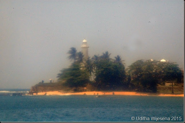 DSC_0598 DSC_0598