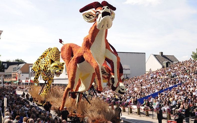bloemencorso-6 bloemencorso-6