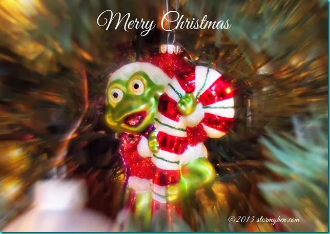 Merry Christmas frog