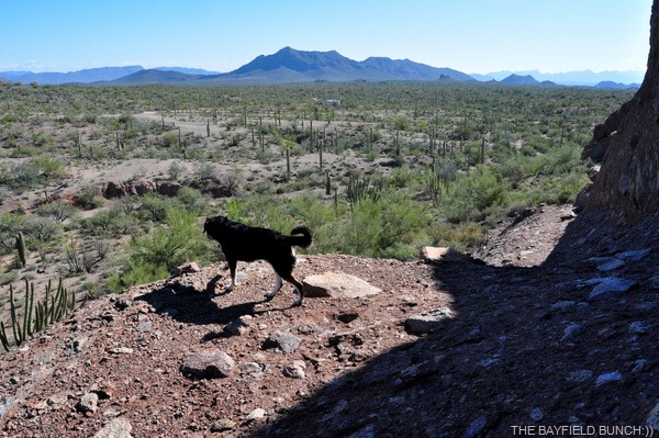 [DSC_0064%255B4%255D.jpg]