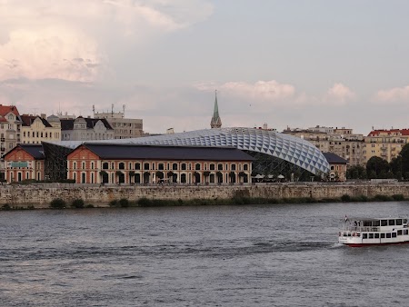 18. Balena din Budapesta.JPG