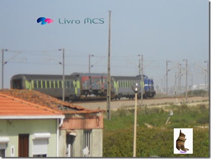 Bolg Gazeta de Espinho001 Livro MCS