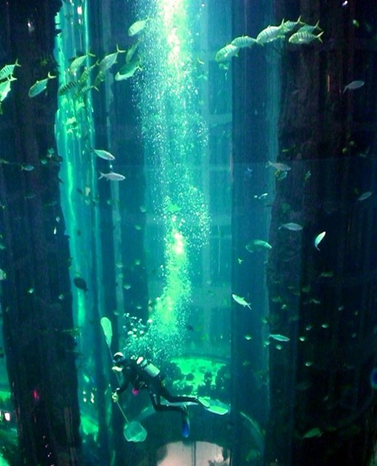 Cylindrical Aquarium 06