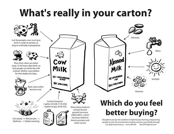 what's really in your carton