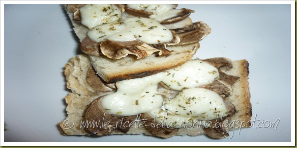 Crostini con funghi. mozzarella e origano (5)