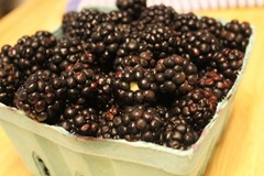 blackberry-jam0009