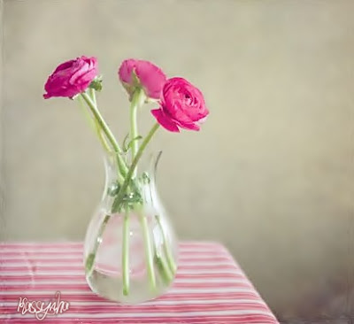 Flor_de_lis_5.jpg
