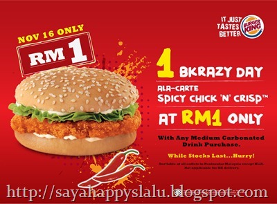 20111116-Burger-King-RM1-Burger