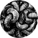 Image Google de Domizia Tosatto
