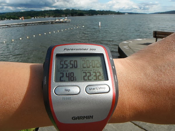 Garmin Forerunner 305 Garmin Forerunner 305