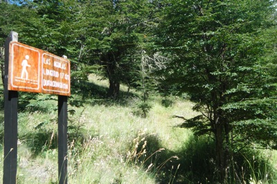 DSCF9245.JPG DSCF9245