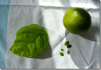 Lime and Basil