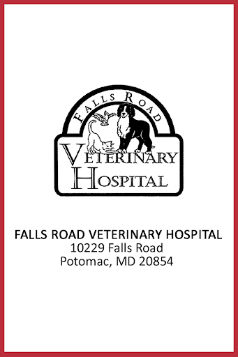 Falls Road Vet