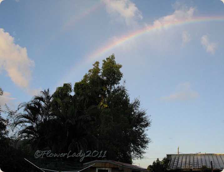 09-28-rainbow4