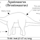 Apatosaurus_bw.gif.jpg