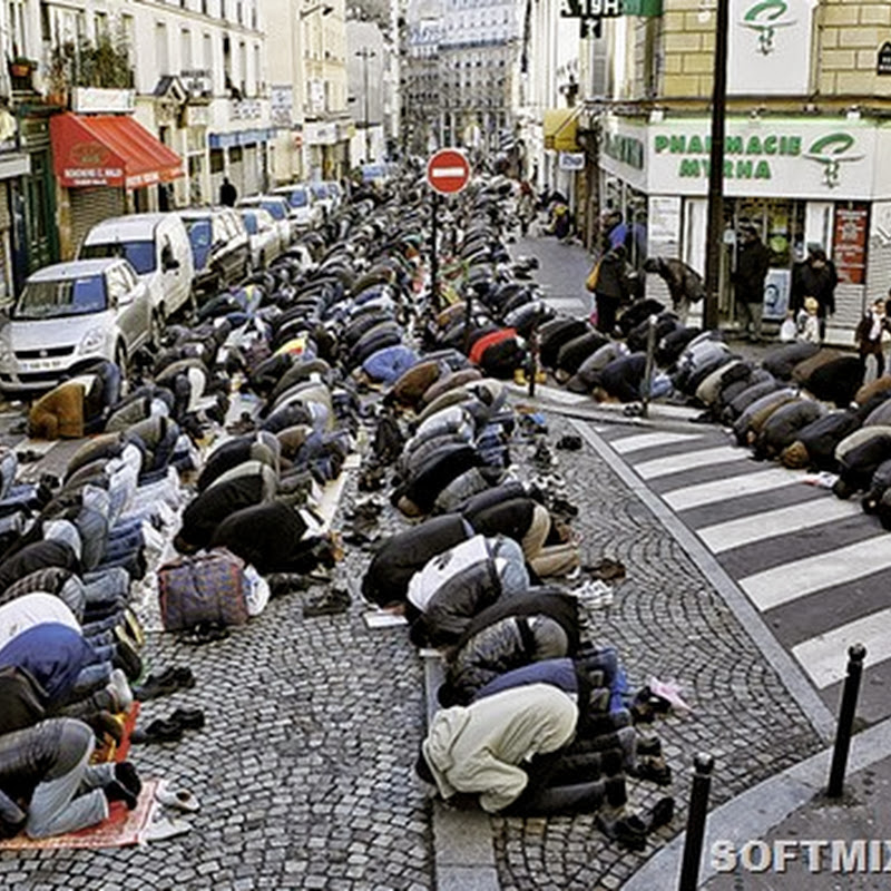 Франция - страна мигрантов