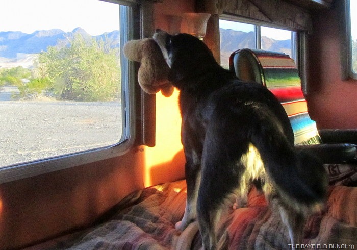 [IMG_1751%255B4%255D.jpg]