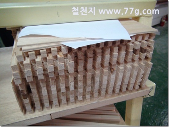 77gDSC03044-20130311-152527