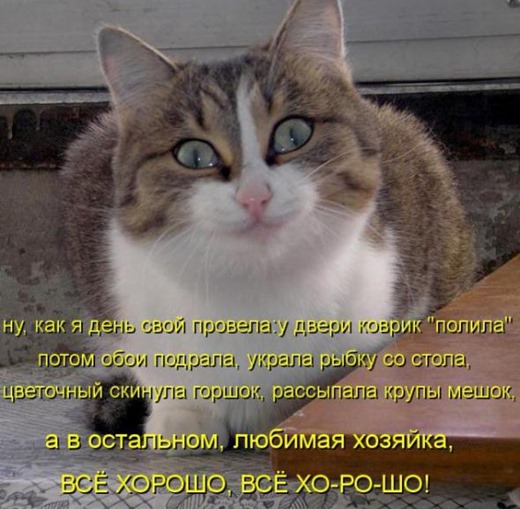 [dd718eb41adae1ddcea18f11c81_prev%255B4%255D.jpg]