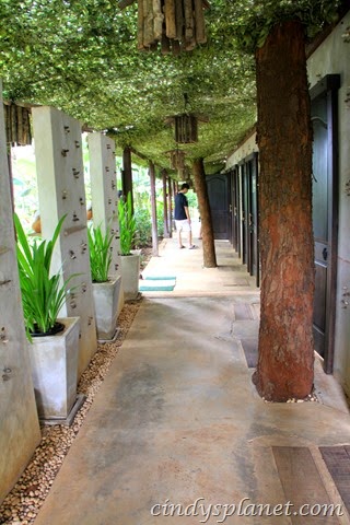 [chok%2520chai%2520farm%2520camp%2520%252811%2529%255B3%255D.jpg.webp]