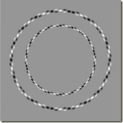 two perfectly round circles isn't it