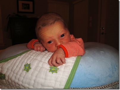 2.  Sweet Knox doing tummy time