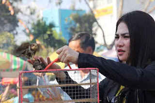 Làm ơn chấm dứt trò phóng sinh Làm ơn chấm dứt trò phóng sinh