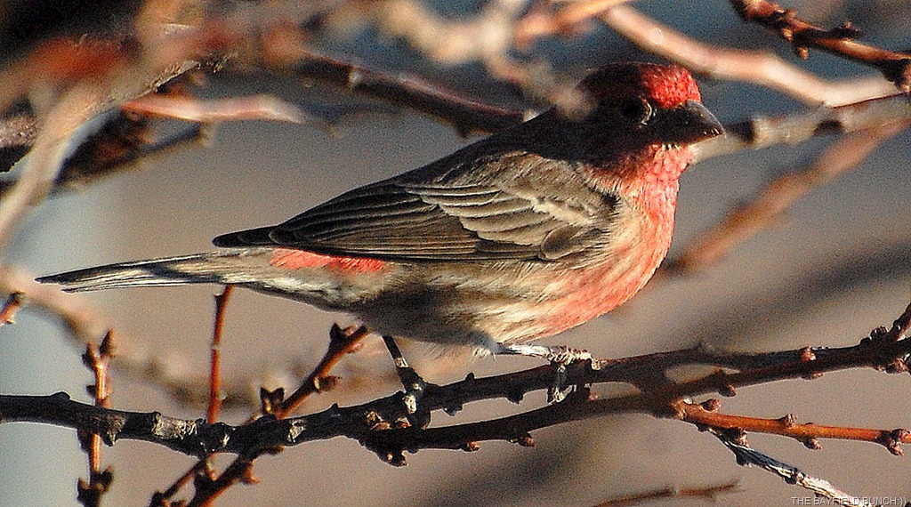 [DSC_5321%255B4%255D.jpg]