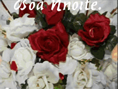 boa-noite--ptalas-caindo.gif
