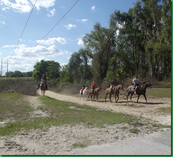 Did you know Florida is BIG horse country?