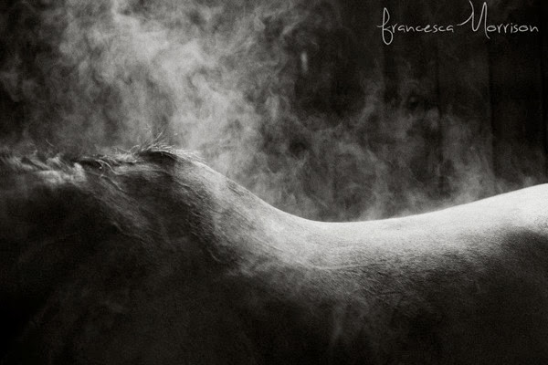 Francesca Morrison Photography