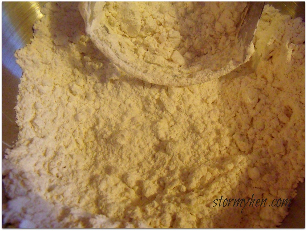[flour%2520shortening%2520blend%255B3%255D.jpg]