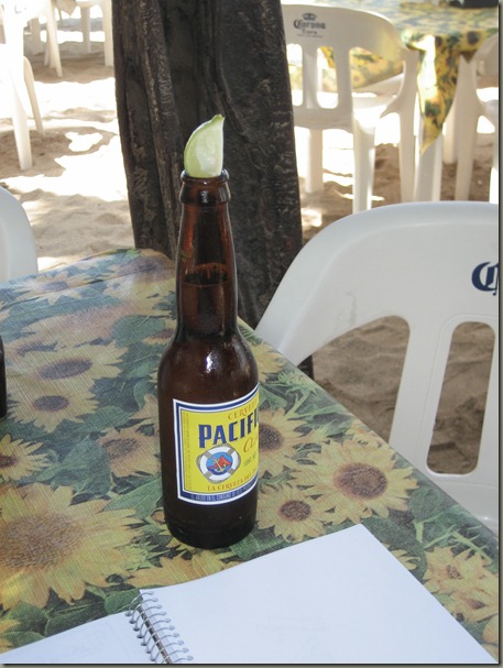 Pacifico and Sketchbook