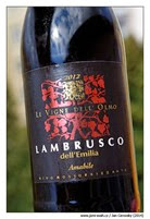 Le-Vigne-dell’Olmo-Lambrusco-dell’Emilia-Amabile-2012