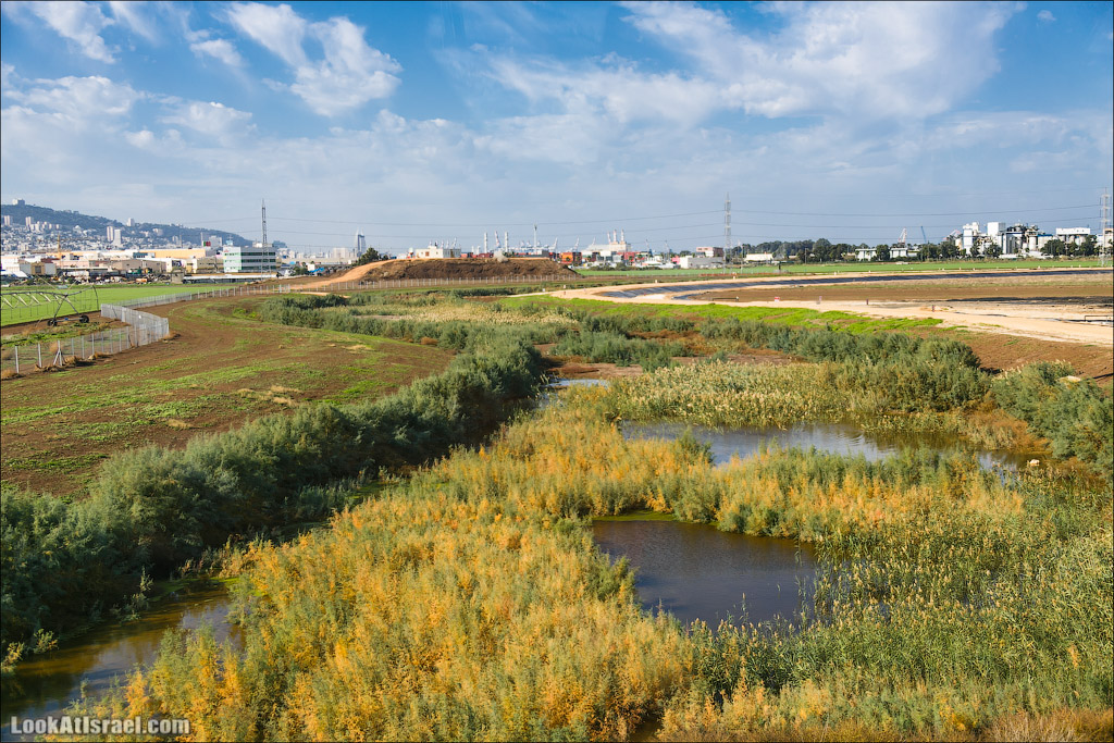 LookAtIsrael.com - Восстановление реки Кишон | Recovering Kishon river | שיחזור נחל קישון