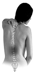 coluna vertebral
