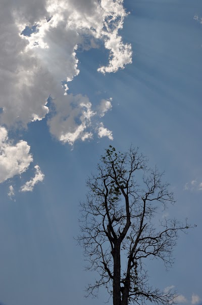 DSC_0860.JPG