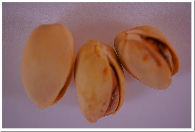 pistachios-free-pictures-1 (1377)