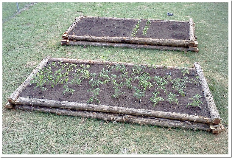 raised cedar log garden beds