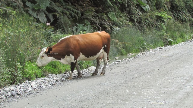 [Chile%2520day%252019%2520Dec%252029%252013%2520018%255B2%255D.jpg]