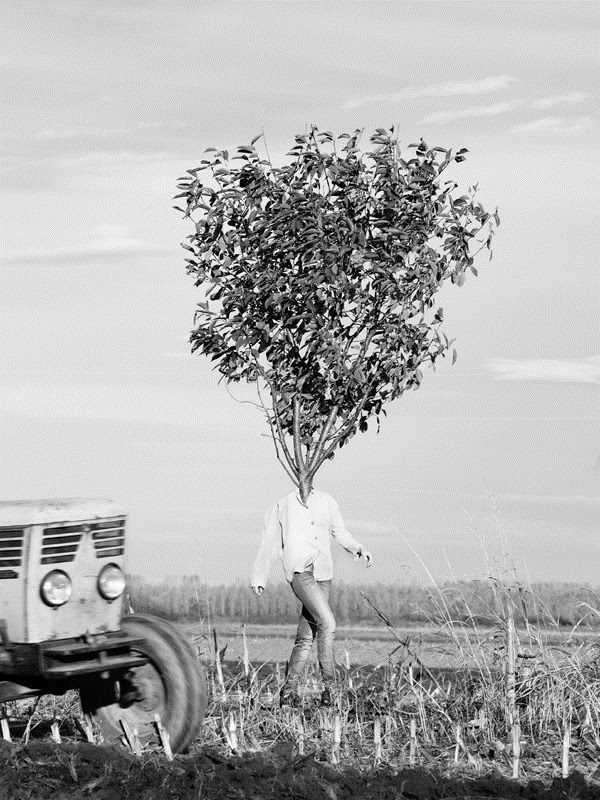 tree people by marko prelic 4