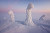 Frozen Trees of the Arctic: Photography by Niccolò Bonfadini