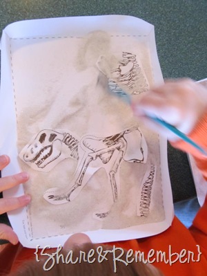 Learning About Dinosaurs Skeleton