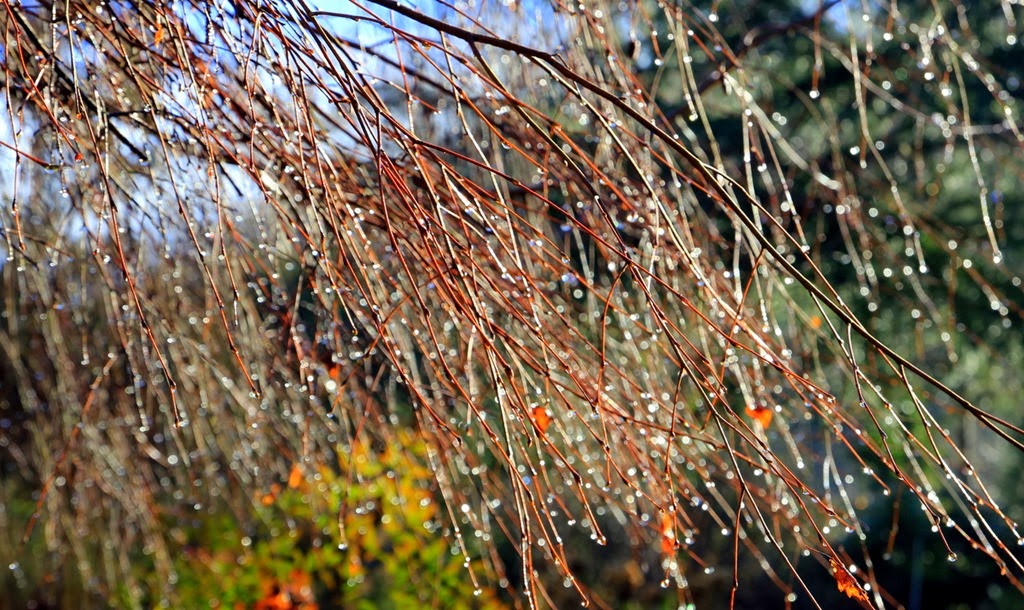 [6-IMG_6245%255B3%255D.jpg]