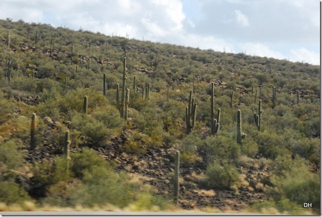 11-16-13 B US93 Border to Phoenix (43)