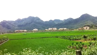 Trại tù Ba Sao, Hà Nam Ninh, Bắc Việt, nơi triền núi phía sau trại tù là nghĩa địa chôn vùi xác nhiều tù nhân cải tạo có gốc từ Miền Nam sau 1975.