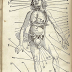 It May Sound Insane, But At One Time, These Medical Practices Were Totally Accepted By Everyone.