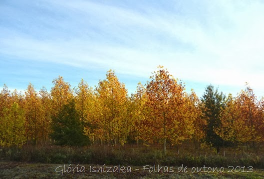 Glória Ishizaka - Folhas de Outono 27
