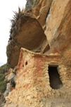 IMG_4705 IMG_4705